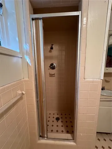 basement bathroom