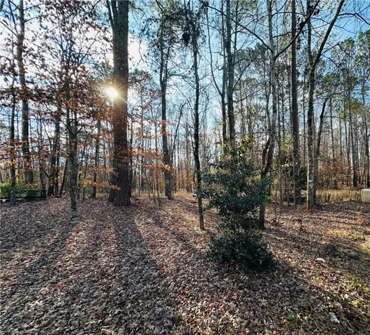 Tbd Grove Hill Road, Auburn, Alabama 36830