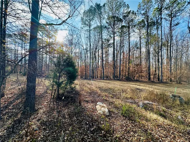 Tbd Grove Hill Road, Auburn, Alabama 36830