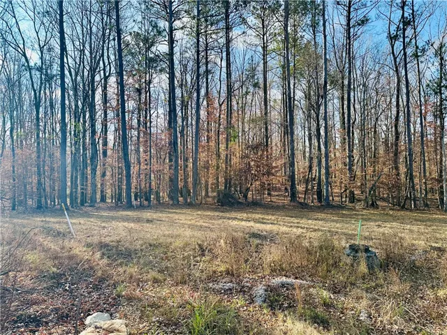 Tbd Grove Hill Road, Auburn, Alabama 36830
