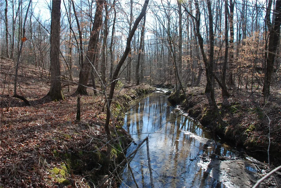 Both creek banks