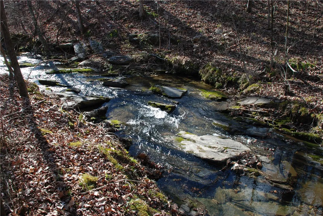 Meandering creek