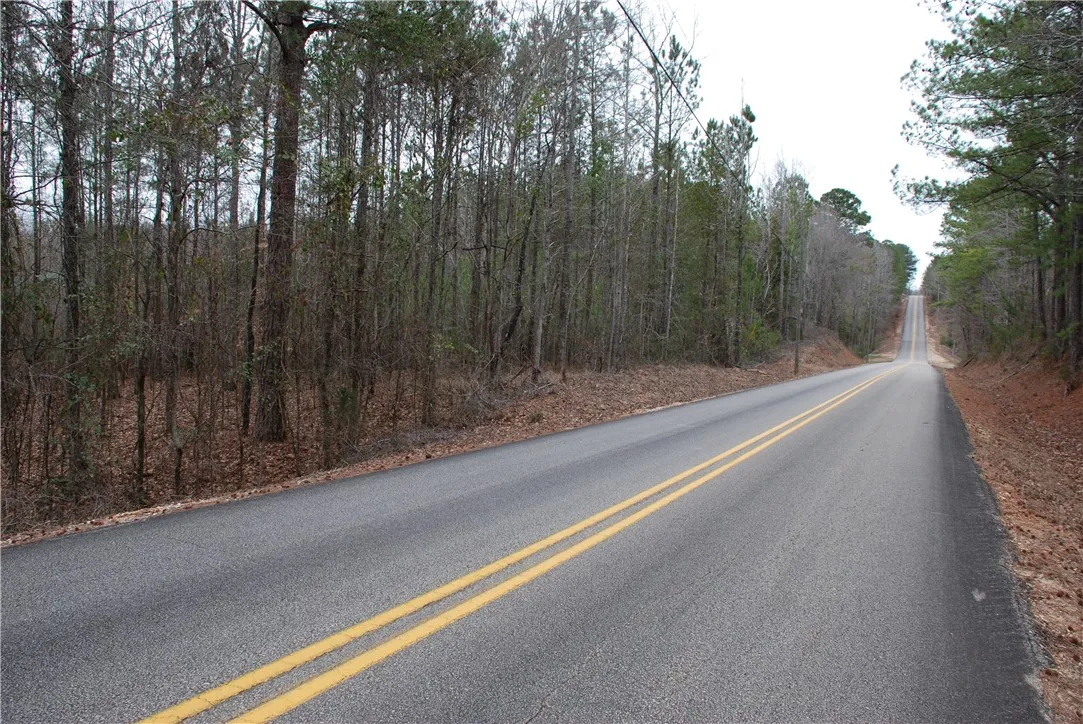 Road View