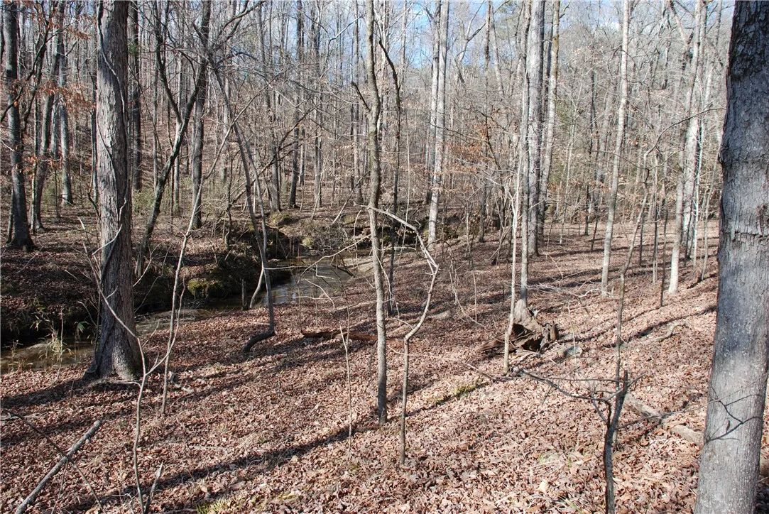 Creek Frontage