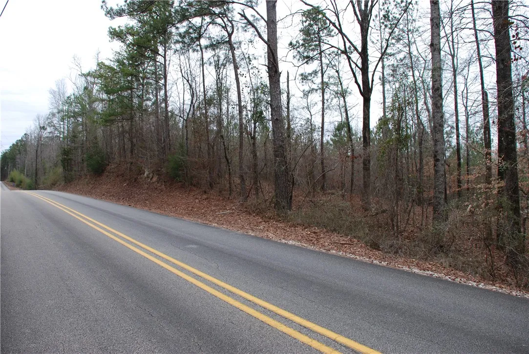 Road View