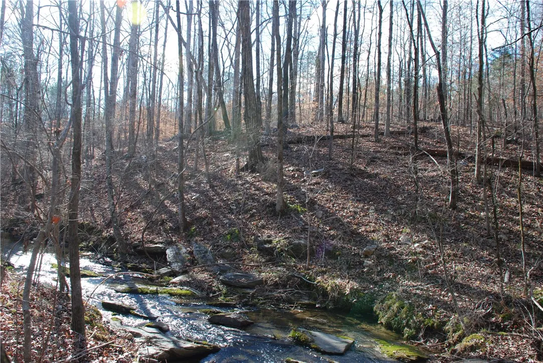 Creek and frontage on the west side