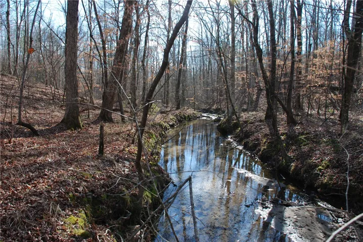 Both creek banks