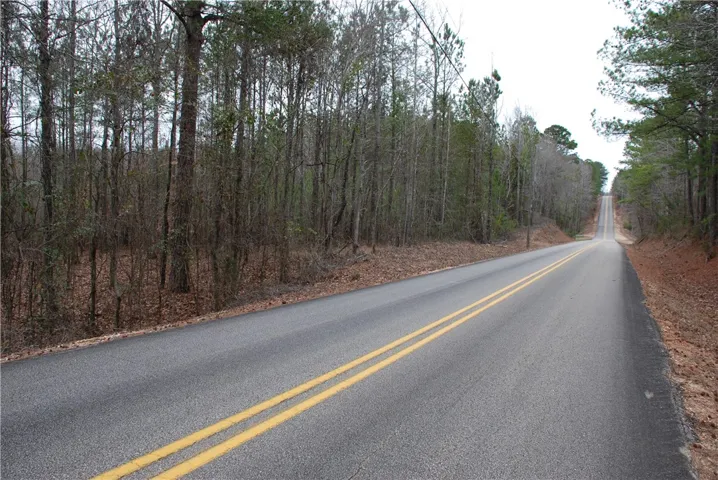 Road View