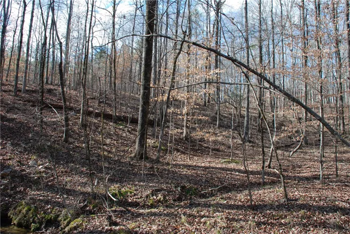 West side of the creek