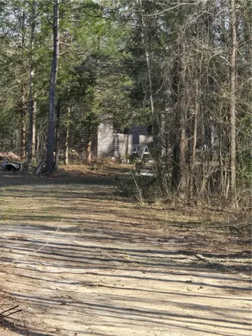 1312 Lee Road 45 N/a, Opelika, Alabama 36804