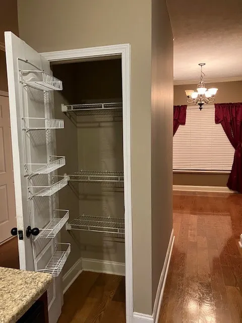 Kitchen Pantry