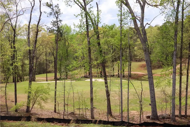 View from back patio