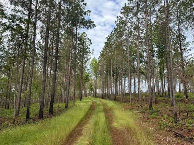 0 County Road 278 N/a, Five Points, Alabama 36855