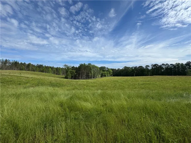 0 County Road 278 N/a, Five Points, Alabama 36855