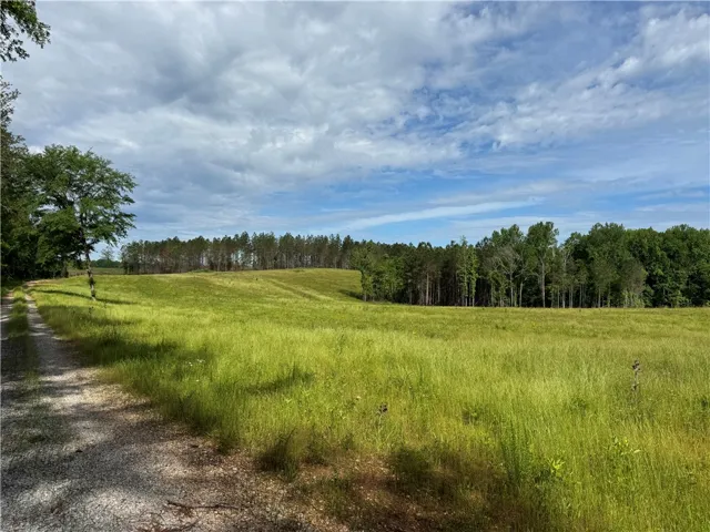 0 County Road 278 N/a, Five Points, Alabama 36855