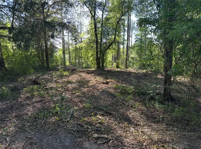 This spacious, wooded lot offers a serene setting for your future home.