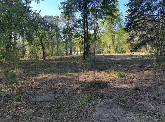 A tranquil wooded lot offers a peaceful retreat for building your ideal home.