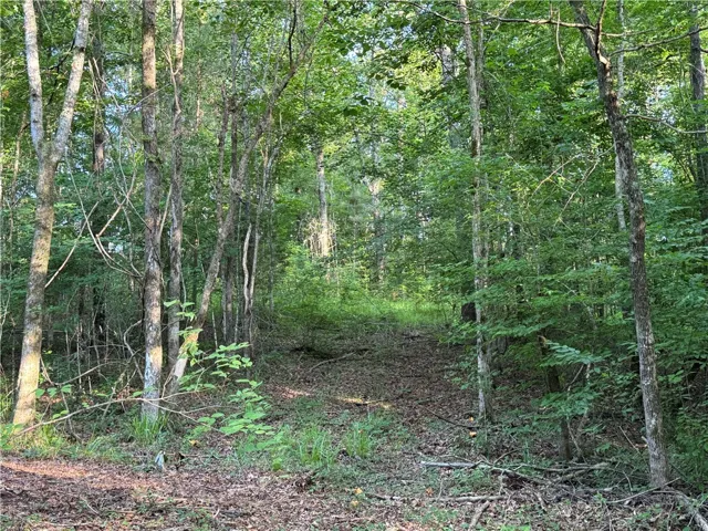 0 Tallapoosa Road, Camp Hill, Alabama 36850