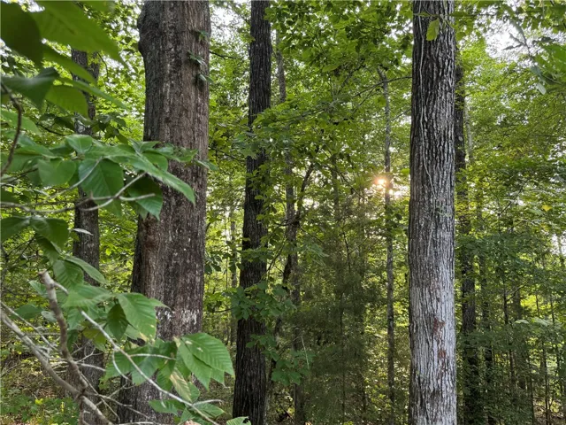 0 Tallapoosa Road, Camp Hill, Alabama 36850