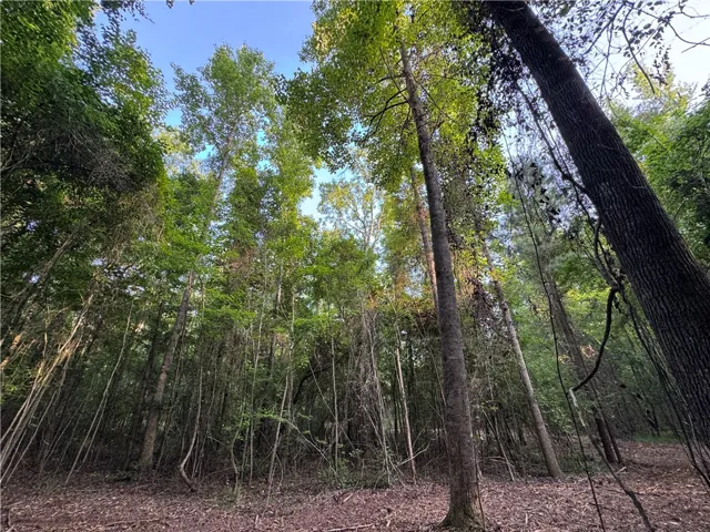0 Tallapoosa Road, Camp Hill, Alabama 36850