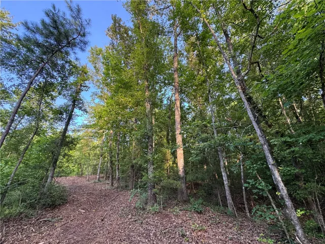 0 Tallapoosa Road, Camp Hill, Alabama 36850