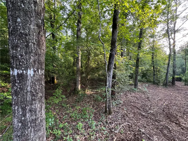 0 Tallapoosa Road, Camp Hill, Alabama 36850