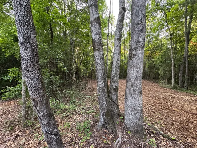 0 Tallapoosa Road, Camp Hill, Alabama 36850