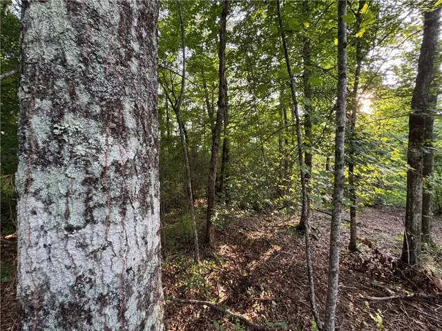 0 Tallapoosa Road, Camp Hill, Alabama 36850