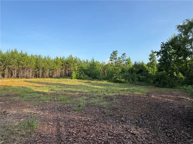 0 Tallapoosa Road, Camp Hill, Alabama 36850