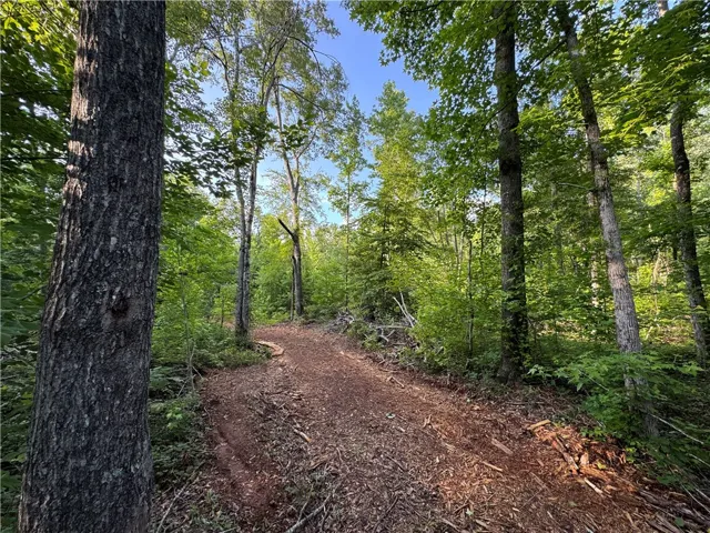 0 Tallapoosa Road, Camp Hill, Alabama 36850