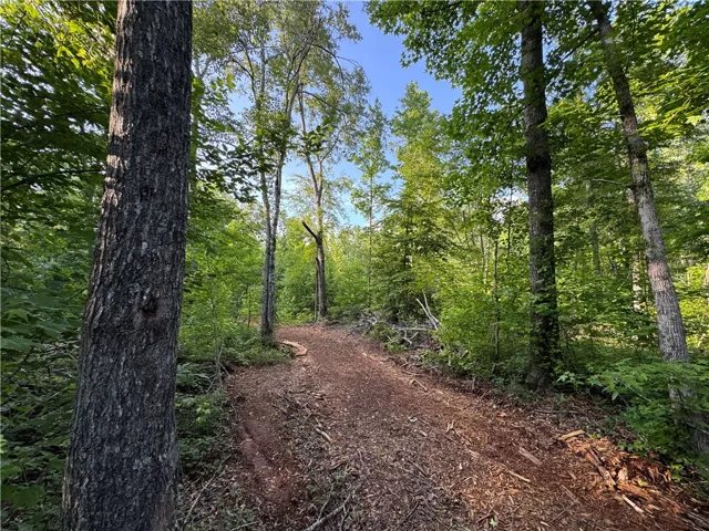 0 Tallapoosa Road, Camp Hill, Alabama 36850