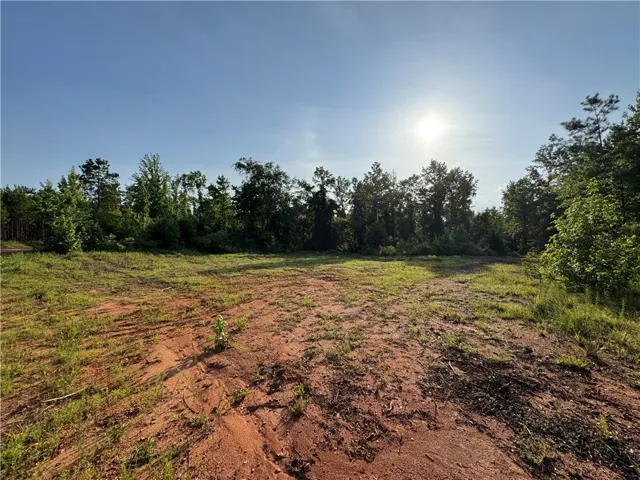 0 Tallapoosa Road, Camp Hill, Alabama 36850