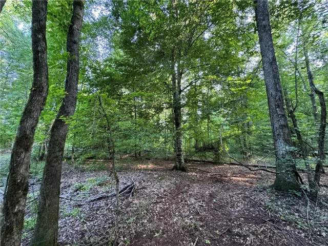 0 Tallapoosa Road, Camp Hill, Alabama 36850