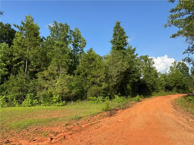 0 Tallapoosa Road, Camp Hill, Alabama 36850