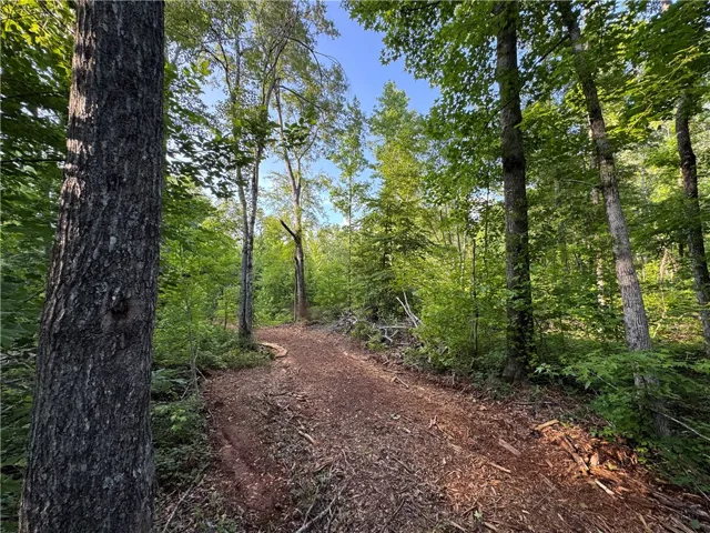 0 Tallapoosa Road, Camp Hill, Alabama 36850
