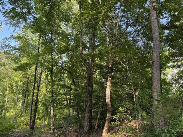 0 Tallapoosa Road, Camp Hill, Alabama 36850