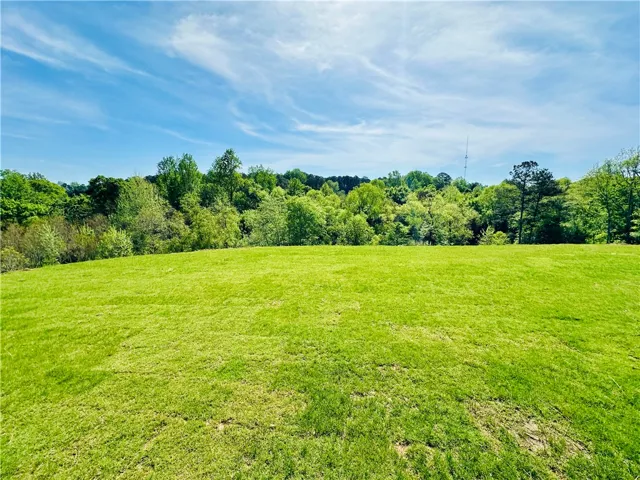 A verdant expanse of land awaits your vision, bordered by lush trees under an expansive sky.