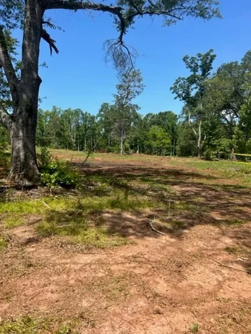 6476 S Highway 49 N/a, Dadeville, Alabama 36853