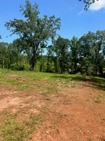 6476 S Highway 49 N/a, Dadeville, Alabama 36853