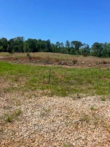 6476 S Highway 49 N/a, Dadeville, Alabama 36853