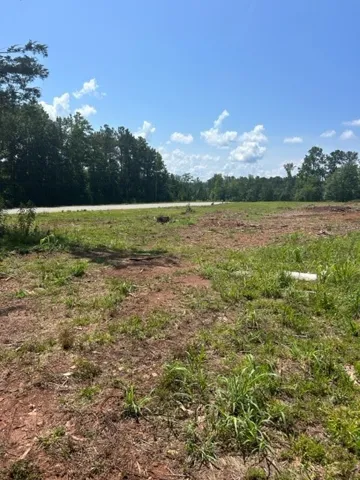 6476 S Highway 49 N/a, Dadeville, Alabama 36853