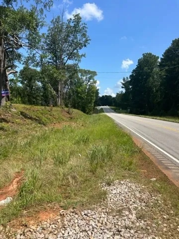 6476 S Highway 49 N/a, Dadeville, Alabama 36853