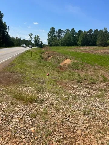 6476 S Highway 49 N/a, Dadeville, Alabama 36853