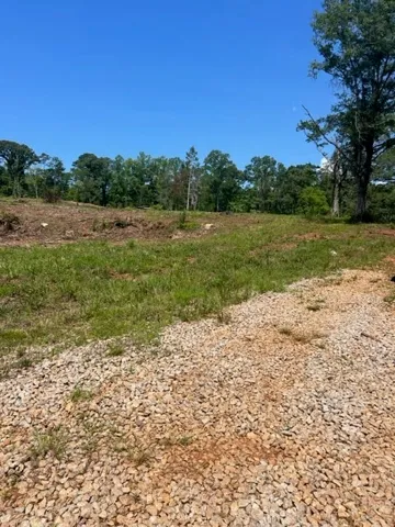 6476 S Highway 49 N/a, Dadeville, Alabama 36853