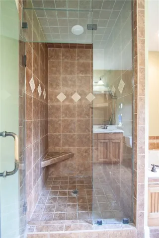 Primary Bath Steam Shower