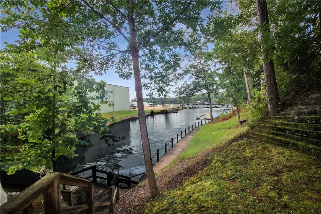 View From the Bottom Porch