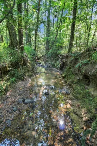 Beautiful Creek