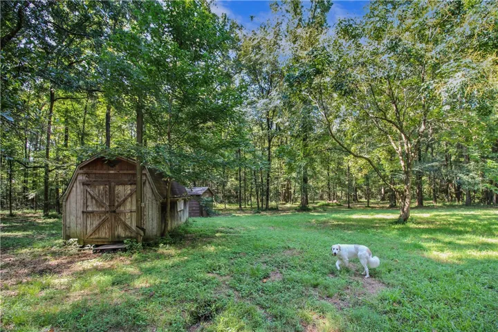 Office Dog (Amelia) Enjoying the Peacefulness of the Property