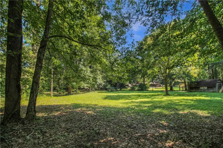Woods and Pasture