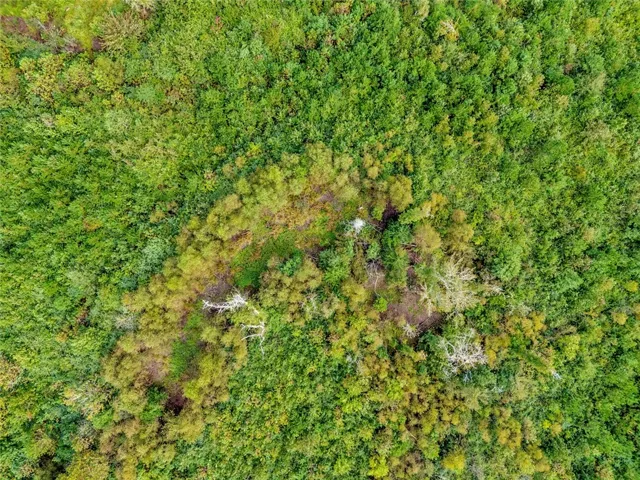 0 Warrior Road, Ohatchee, Alabama 36271